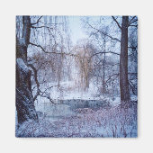 Eenden in een diepvriesinstallatie in het centrale magneet (Voorkant)