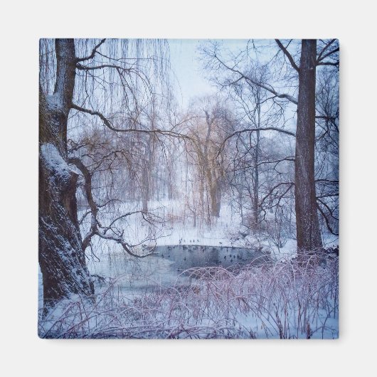 Eenden in een diepvriesinstallatie in het centrale magneet (Voorkant)