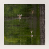 Eenden in een groen meer legpuzzel (Horizontaal)