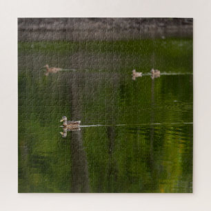 Eenden in een groen meer legpuzzel
