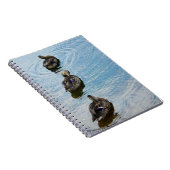 Eenden in een Notitieboek van de Rij (Rechterzijde)
