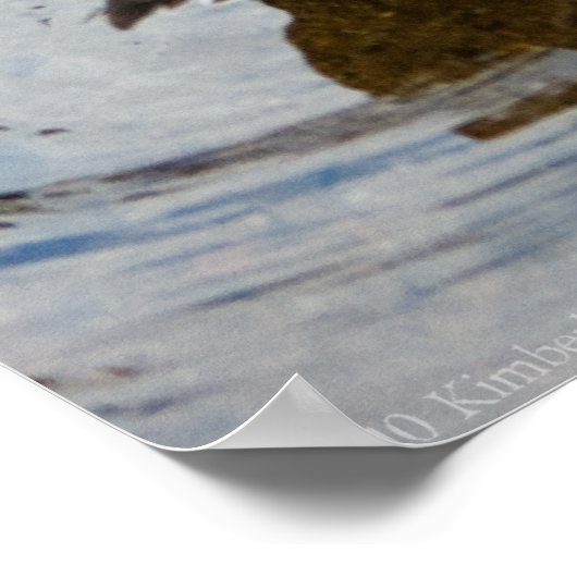 Eenden in een rij poster (Hoek)