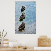 Eenden in een rij poster (Keuken)