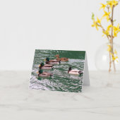 Eenden in een rijbriefkaart (blanco) kaart (Gele Bloem)