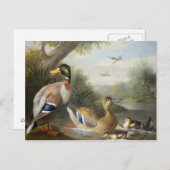 Eenden in een rivierlandschap briefkaart (Voorkant / Achterkant)