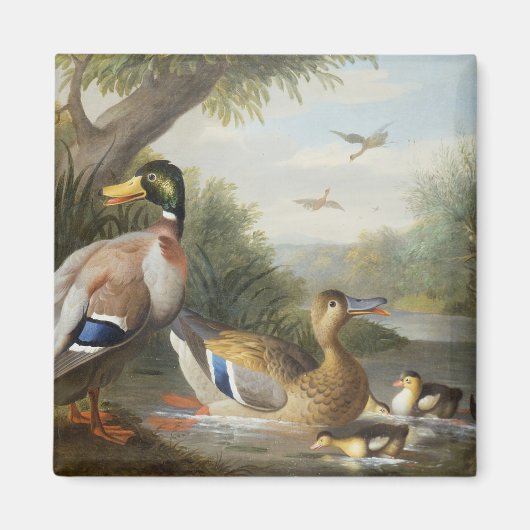 Eenden in een rivierlandschap magneet (Voorkant)