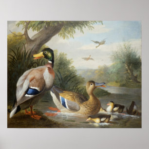 Eenden in een rivierlandschap poster