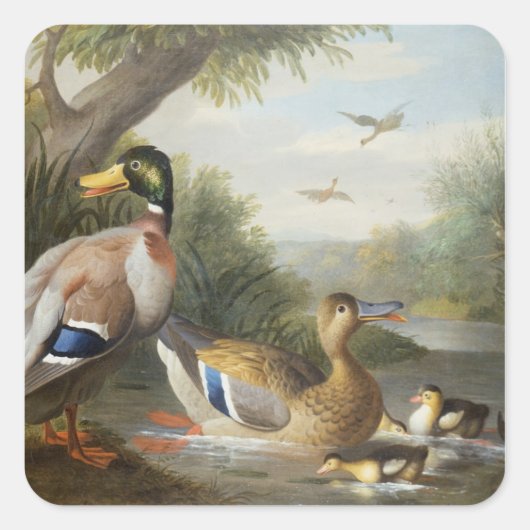 Eenden in een rivierlandschap vierkante sticker (Voorkant)