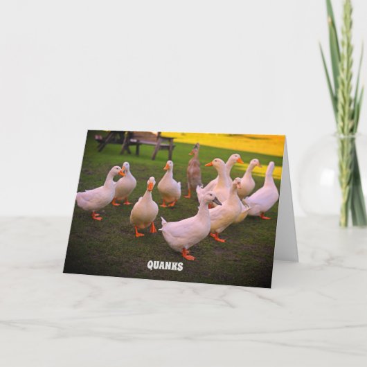 Eenden in het Park Grappige Eend Quanks Bedankkaart (Voorkant)