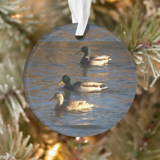 Eenden in het water ornament (Boom)