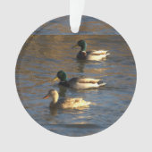 Eenden in het water ornament (voorkant)