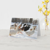 Eenden in het wintersneeuw Wenskaart Kaart (Gele Bloem)