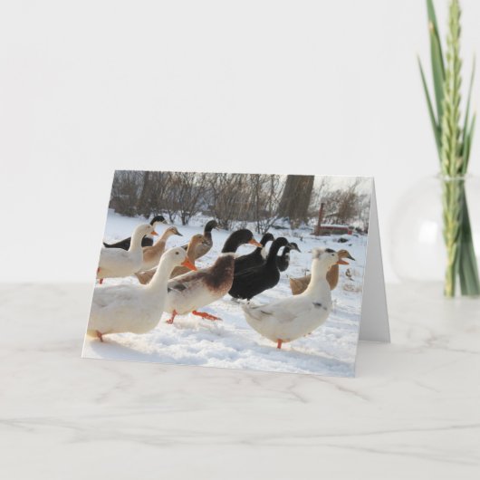 Eenden in het wintersneeuw Wenskaart Kaart (Voorkant)