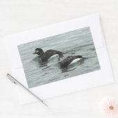 Eenden in Oceaafoto Stickers (Envelop)