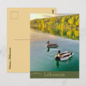 Eenden in Vilnius Litouwen Briefkaart (Voorkant / Achterkant)