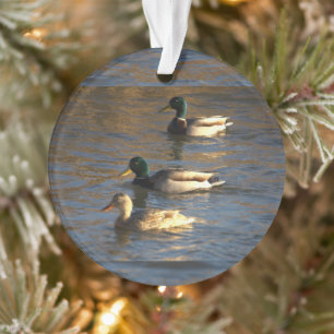 Eenden in water ornament