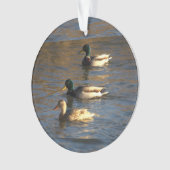 Eenden in water ornament (voorkant)