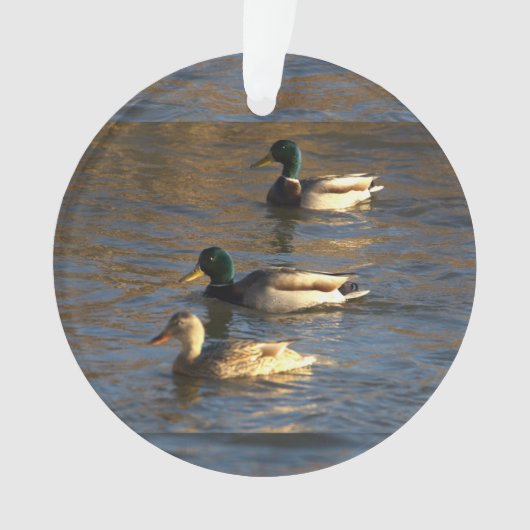 Eenden in water ornament (voorkant)