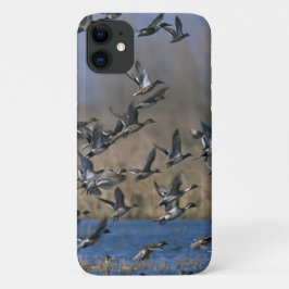 Eenden jagen - Pintail Ducks vliegen Case-Mate iPhone Case