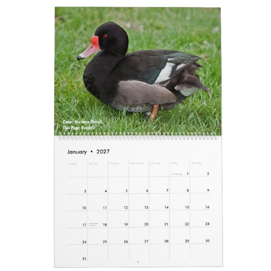 Eenden Kalender (Jan 2027)