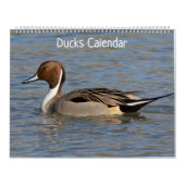 Eenden Kalender (Hoes)