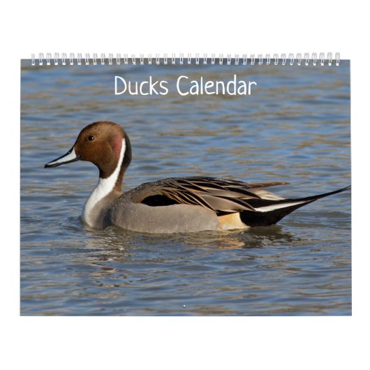 Eenden Kalender (Hoes)