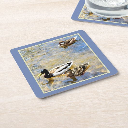 Eenden Kartonnen Onderzetters (Schuin)