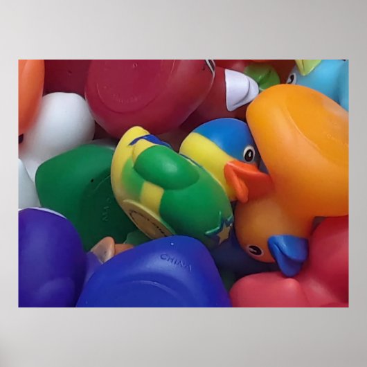 Eenden Ken Gage Fotografie Poster (Voorkant)