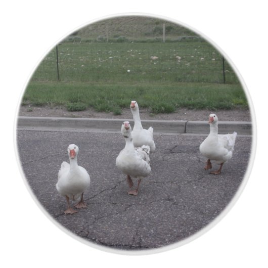 Eenden Keramische Knop (Voorkant)