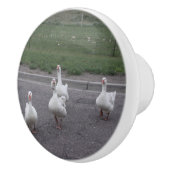 Eenden Keramische Knop (Rechts)