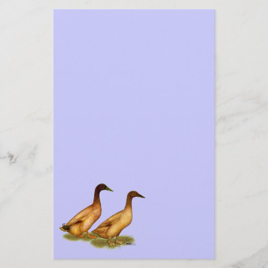 Eenden: Khaki Campbell Briefpapier (Voorkant)