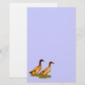 Eenden: Khaki Campbell Briefpapier (Voorkant / Achterkant)