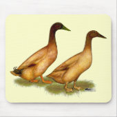 Eenden: Khaki Campbell Muismat (Voorkant)