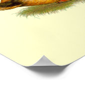 Eenden: Khaki Campbell Poster (Hoek)