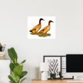 Eenden: Khaki Campbell Poster (Thuiskantoor)