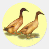 Eenden: Khaki Campbell Ronde Sticker (Voorkant)