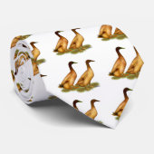 Eenden: Khaki Campbell Stropdas (Opgerold)