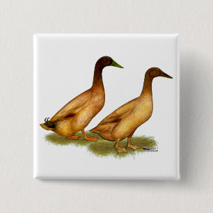 Eenden: Khaki Campbell Vierkante Button 5,1 Cm