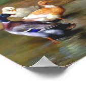 Eenden kippen Vogels schilderen Poster (Hoek)