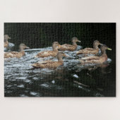 Eenden Legpuzzel (Horizontaal)