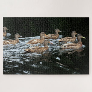 Eenden Legpuzzel