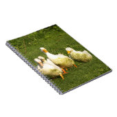 eenden, levend, weide, dier, boerderij, landleven; notitieboek (Rechterzijde)