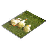 eenden, levend, weide, dier, boerderij, landleven; notitieboek (Linkerzijde)