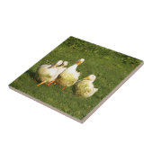 eenden, levend, weide, dier, boerderij, landleven; tegeltje (Zijkant)