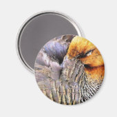 EENDEN MAGNEET (Voorkant / Achterkant)