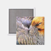 EENDEN MAGNEET (Voorkant / Achterkant)