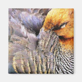 EENDEN MAGNEET (Voorkant)