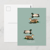 Eenden Mallards Eetbare Frosting Rondes Briefkaart (Voorkant / Achterkant)