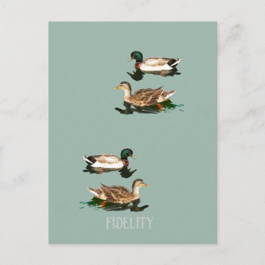 Eenden Mallards Eetbare Frosting Rondes Briefkaart (Voorkant)
