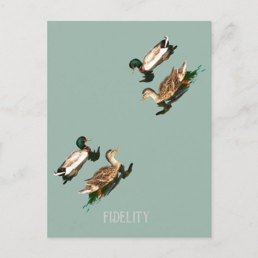 Eenden Mallards Eetbare Frosting Rondes Feestdagenkaart (Voorkant)